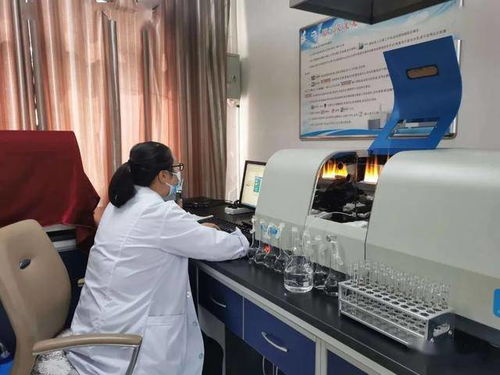 民樂縣水務(wù)局強(qiáng)化行業(yè)監(jiān)管，筑牢農(nóng)村飲水安全基石——聚焦集中式供水保障